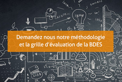 livingstone expert comite d'entreprise